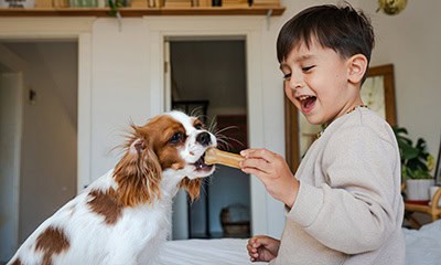 Cute kid with his dog Cute kid with his dog